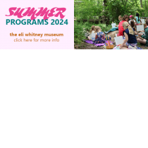 Thumbnail of Summer 2024 project